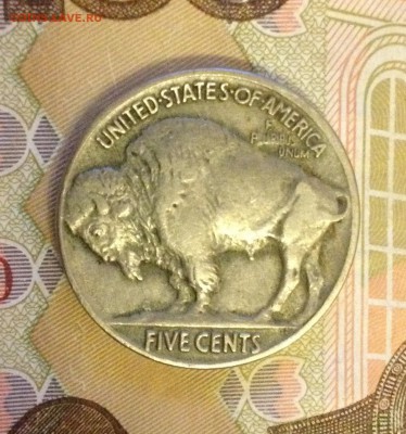 Монеты США 19в на оценку - image