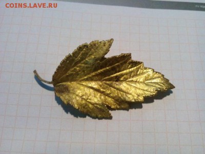 заколка листик в позолоте - IMG_20180608_104435