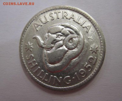 1 шиллинг Австралия 1952 до 10.06.18 - IMG_8910.JPG