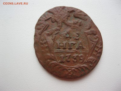 денга 1739 - IMG_2490.JPG