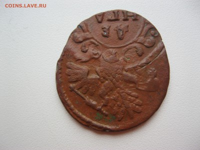 денга 1739 - IMG_2491.JPG