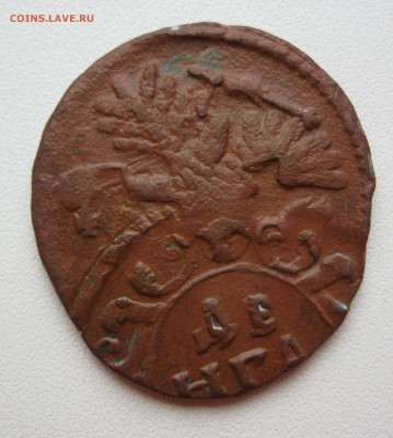 денга 1739 - IMG_2492.JPG