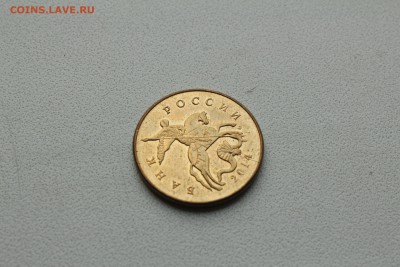  23:00 - IMG_9613.JPG
