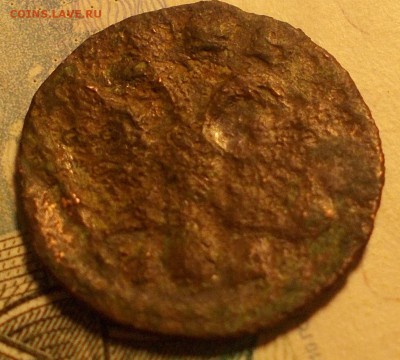 Полушка 1718 (1711)? - DSCN2288.JPG