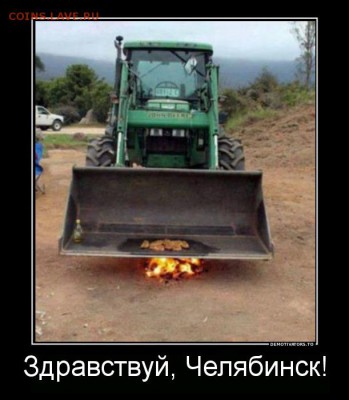 юмор - 9714873_piknik-na-obochine