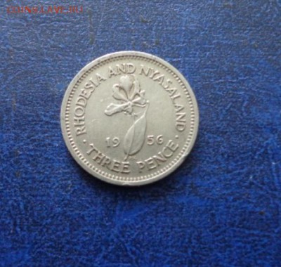 Родезия и Ньясаленд  3 пенса 1956 до 15.06.18 - DSC01740.JPG