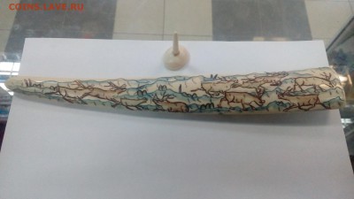 Куплю зубы кашалота ,клыки моржа ,а так же изделия из них - IMG_20180406_103909