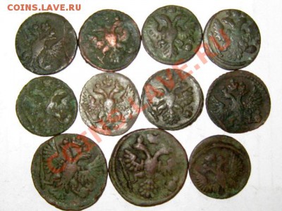 Лот полушки и деньги ! 11 штук ! до 27.04.2011 21.00 МСК - деньги-полушки_2