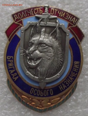 знак бригада особого назначения,до 12.06,в 22.00мск - DSCF0857.JPG