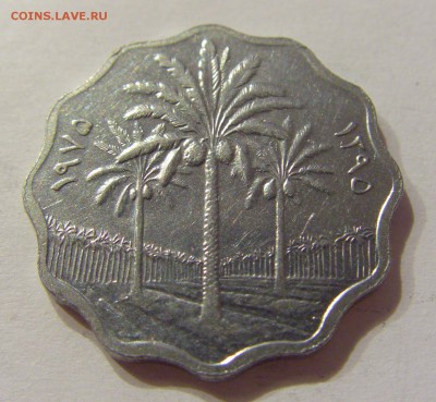 5 филс 1975 Ирак №1 17.06.2018 22:00 МСК - CIMG6604.JPG