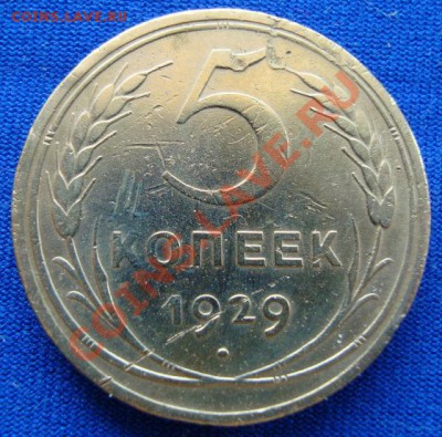 5 копеек 1929 до 29.04.11г 21:00МСК - DSC02414