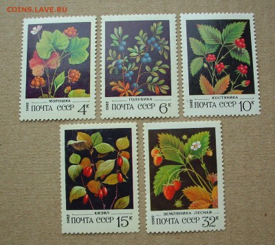 СССР. 1982 г. Дикорастущие ягоды.  До 17.06.. - IMG_6726.JPG