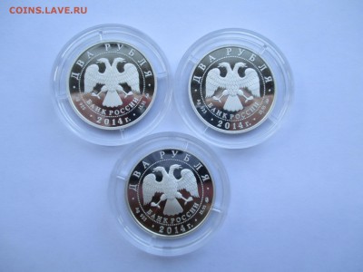 2р 2014 КРАСНАЯ КНИГА КОМПЛЕКТ ИЗ 3 МОНЕТ - IMG_0020.JPG