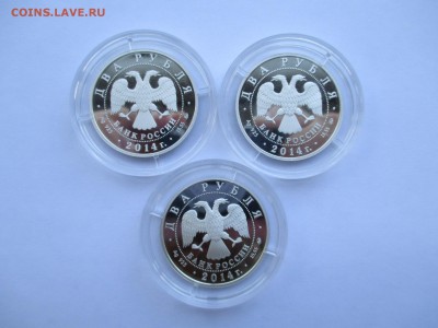 2р 2014 КРАСНАЯ КНИГА КОМПЛЕКТ ИЗ 3 МОНЕТ - IMG_0019.JPG