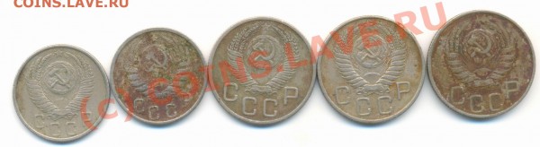 КОРЕГА для протезов - Image-123