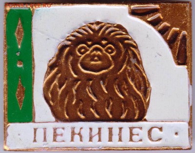 Знак. ПЕКИНЕС до 22.06.18 г. в 23.00 - 018