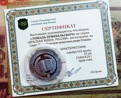 К.К........ЛОШАДЬ ПРЖЕВАЛЬСКОГО.....(серебро)....до 20.06 - IMG_5590.JPG
