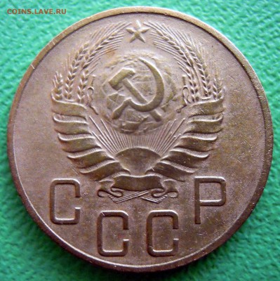 шт1 - DSCN8133.JPG