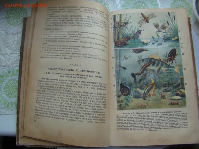 ОСНОВЫ ДАРВИНИЗМА учебник 1957 год до 21.06.2018г 21-00 - DSC04999.JPG
