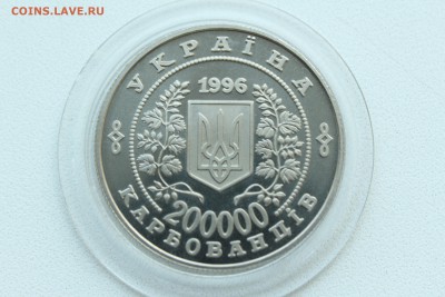  22:00 - IMG_9534.JPG