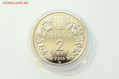  22:00 - IMG_9725.JPG