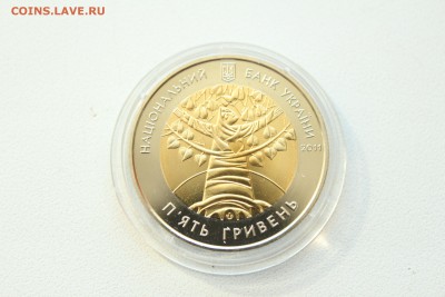 22:00 - IMG_9728.JPG