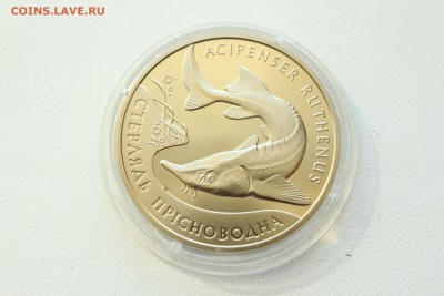  22:00 - IMG_9726.JPG