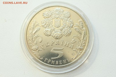  22:00 - IMG_9730.JPG