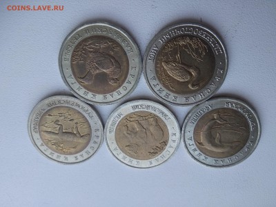 Красная Книга 1993г.(5шт.) до 21 июня 22-00 - IMG_20180618_114424