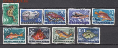 Югославия 1956 рыбы 9м - 103в
