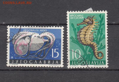 Югославия 1956 рыбы 2м - 103г