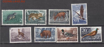 Югославия 1954 56 фауна 8м - 104
