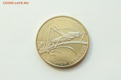  22:00 - IMG_9736.JPG