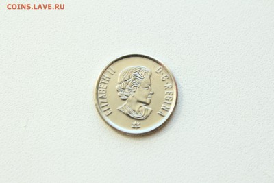  22:00 - IMG_9739.JPG