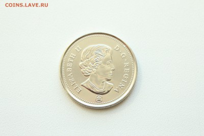  22:00 - IMG_9747.JPG
