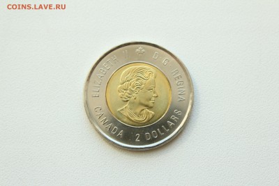  22:00 - IMG_9751.JPG