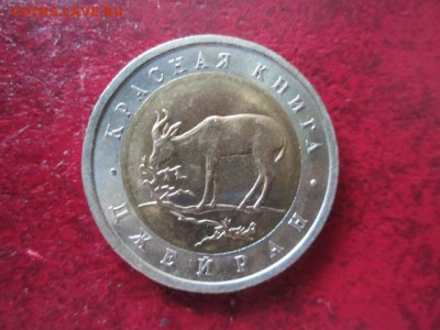 КК 1994 ДЖЕЙРАН анц 50 руб. до 24.06.18 в 22:30 - IMG_1321.JPG