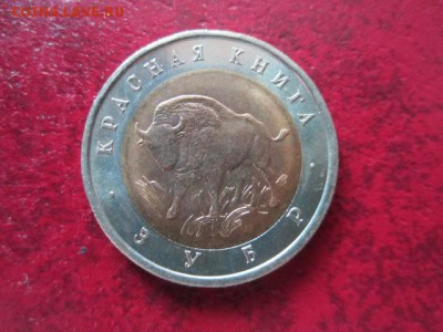 КК 1994 ЗУБР анц 50 руб. до 24.06.18 в 22:30 - IMG_1325.JPG