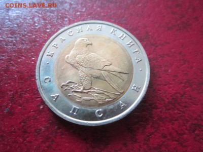КК 1994 САПСАН анц 50 руб. до 24.06.18 в 22:30 - IMG_1330.JPG