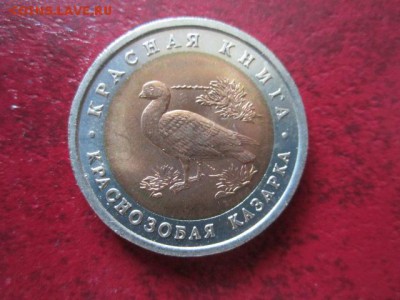 КК 1992 КАЗАРКА анц 10 руб. до 24.06.18 в 22:30 - IMG_1345.JPG