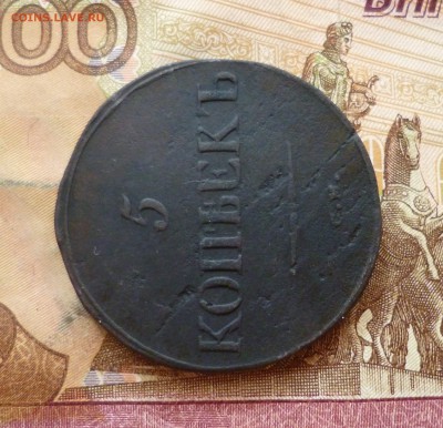 5 копеек 1833 СМ, до 26.06 в 22-30, блиц - 5 копеек 1833 СМ 4.JPG