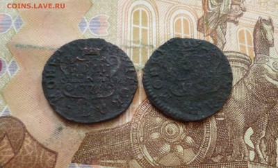 Полушки сибирские, 2 шт., до 26.06 в 22-30, блиц - Полушки сибирские, 2 шт. 1.JPG