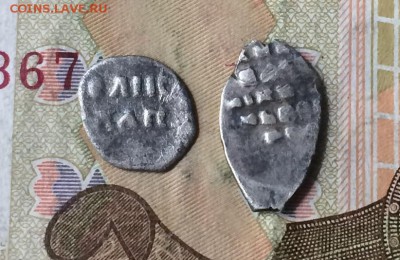 2 чешуйки опознание - IMG_8113.JPG