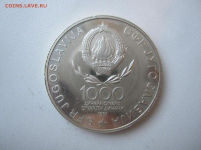 Югославия, 1000 динар 1981 до 24.06.18 22.00 МСК - IMG_5210.JPG