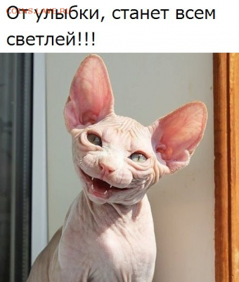 Набор 70 лет Революции 1987 года.До 25.06.2018 . - 2A99609D-5562-4DD2-A408-B1D88136A747
