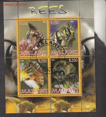 Малави 2008 пчелы - 2