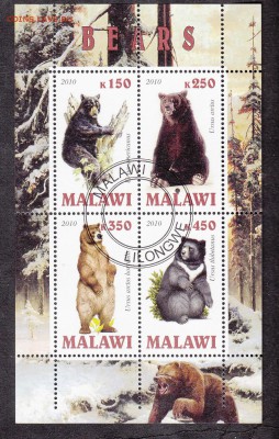 Малави 2010 медведи - 11