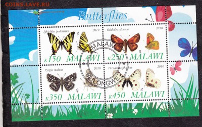 Малави 2010 бабочки(2) - 25