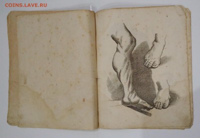 Руководство к рисовальному искусству . 1862 год. - IMG_20180623_211806