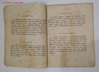 Руководство к рисовальному искусству . 1862 год. - IMG_20180623_211607